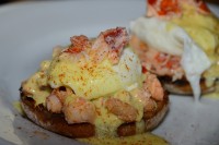 Lobster Dish Of The Day—Lobster Eggs Benedict At Kitchen Little In Mystic